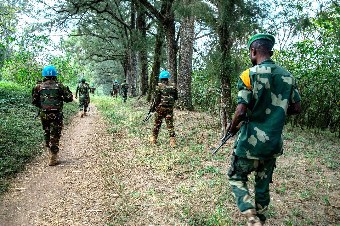 La Force de la #MONUSCO et les @FARDC_Off intensifient leurs patrouilles conjointes à #Drodro et #Rhoo, territoire de #Djugu en #Ituri, pour prévenir les attaques des milices afin d’assurer la protection des civils et la libre circulation des populations.