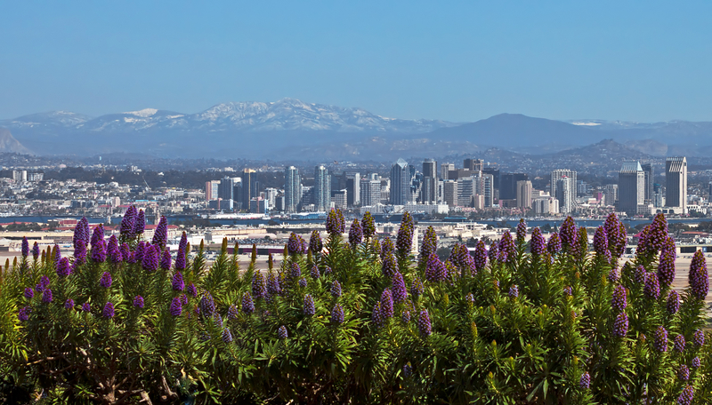 San Diego releases data-driven pavement management plan to help prioritise funding for road maintenance. 👉 cities-today.com/san-diego-rele… @CityofSanDiego #publicworks #roadmaintenance #data #smartcity