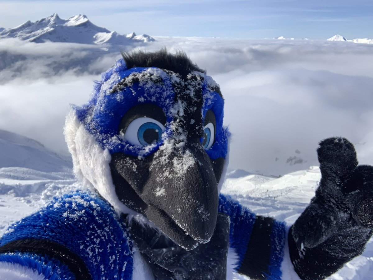 Well I can now tell you for sure! Snow is wet and cold! #FursuitFriday 

📷: Myself
🏔️: Hasliberg, Switzerland
✂️: @FursuitsByLacy