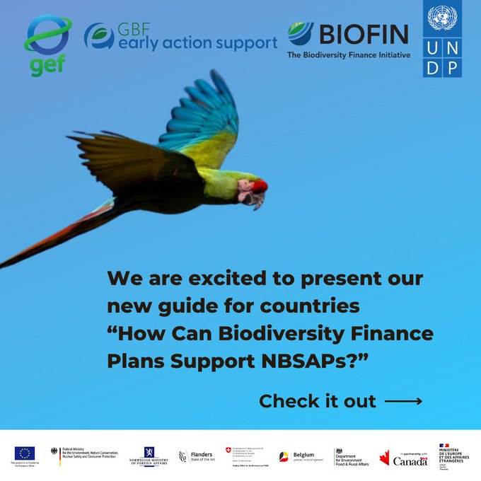 🌿See @UNDPbiofin's new guide to understanding how Biodiversity Action Plan & Biodiversity Finance Strategy can secure a sustainable future for nature. click below now to delve in 👇🏼 biofin.org/knowledge-prod…