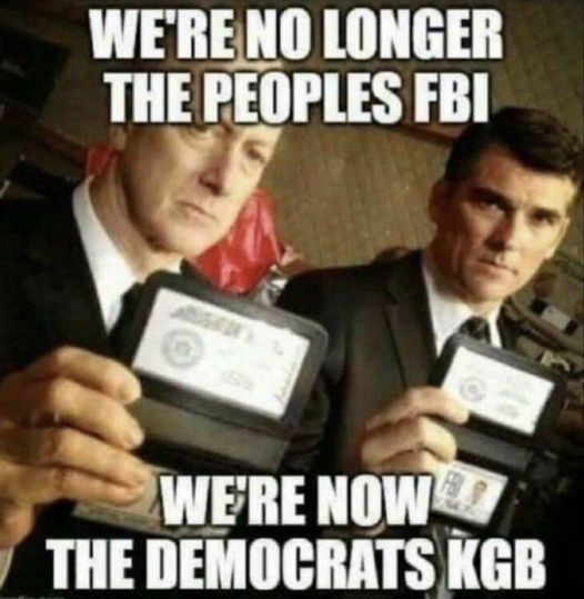 The FBI is wholly owned by the Democratic party.
