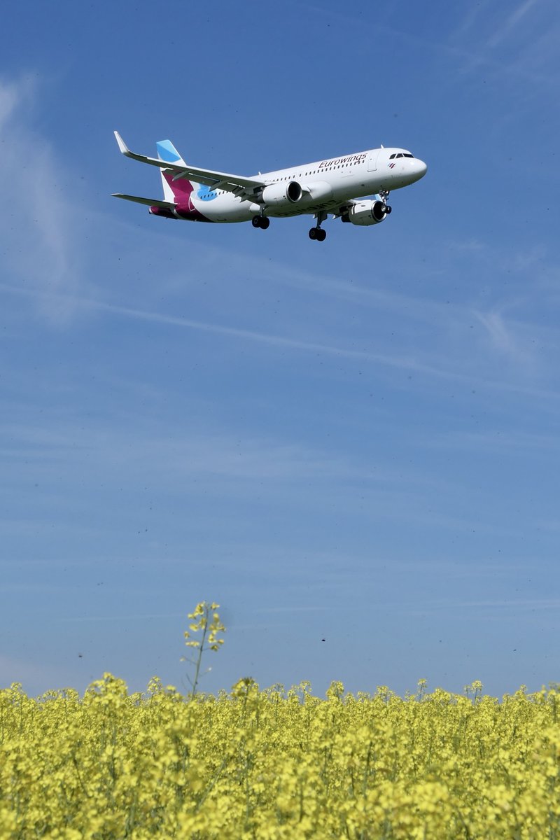 nice spring time @zrh_airport #zurichairport #Airbus #a320 @eurowings with yellow rape field #springtime #rapefield #primavera #fruehling #avgeek #avgeeks #aviationlovers #aircraft #eurowings 12.04.2024