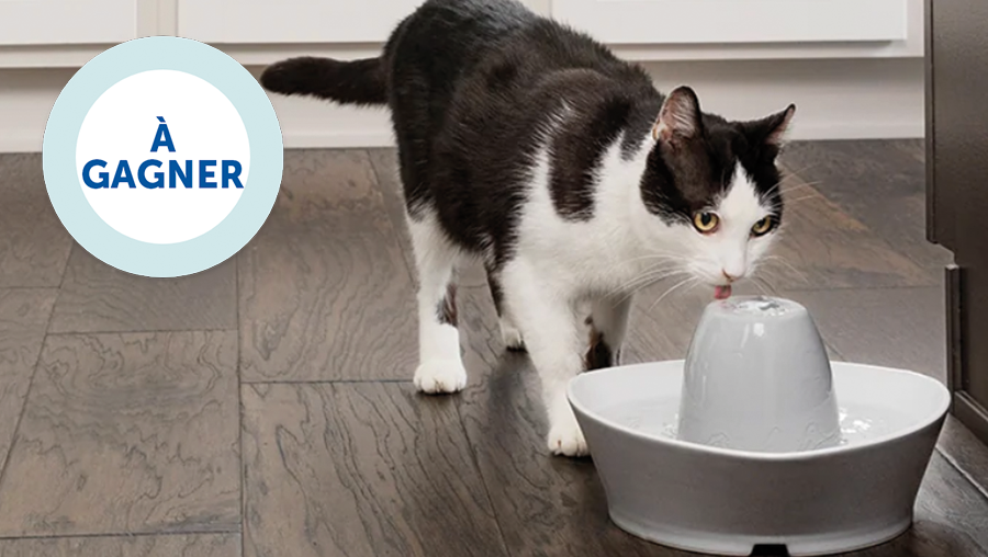 Follow & Retweet @PetSafeFR - Pour être en bonne santé, l'hydratation est la clé ! Tentez votre chance pour offrir à votre animal une fontaine à Eau Streamside ! 1 gagnant sera désigné par TAS le 18/04/2024. *concours réservé à la 🇫🇷