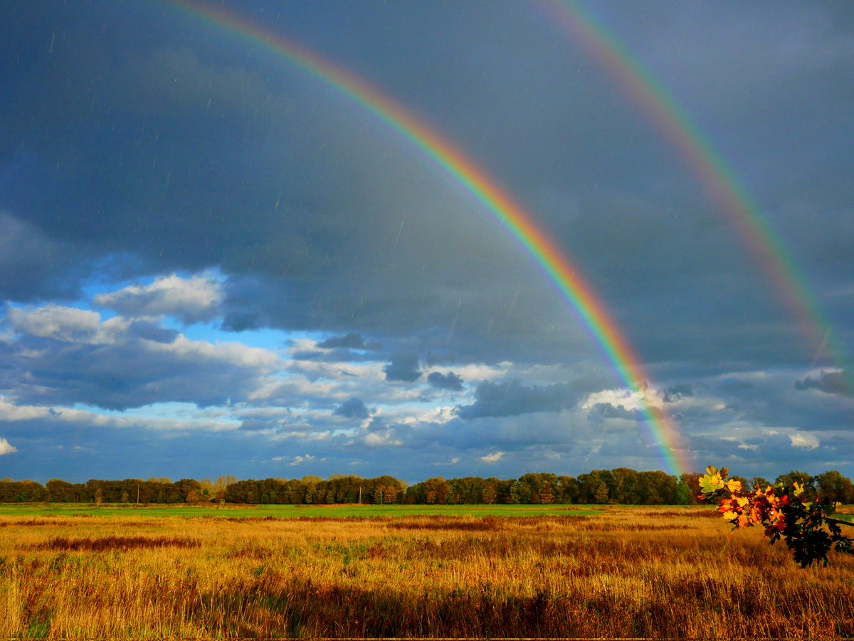 Spring Vibes  love those moments when there is a Rainbow like this.
#rainbows 
#landschaftsfotografie 
#naturfotografie 
#nature_perfection
#fotografie 
#landscape 
#naturelovers