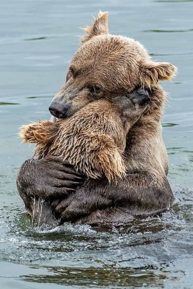 Those that have seen the darkness have the most love to give.🐻🧸🤎