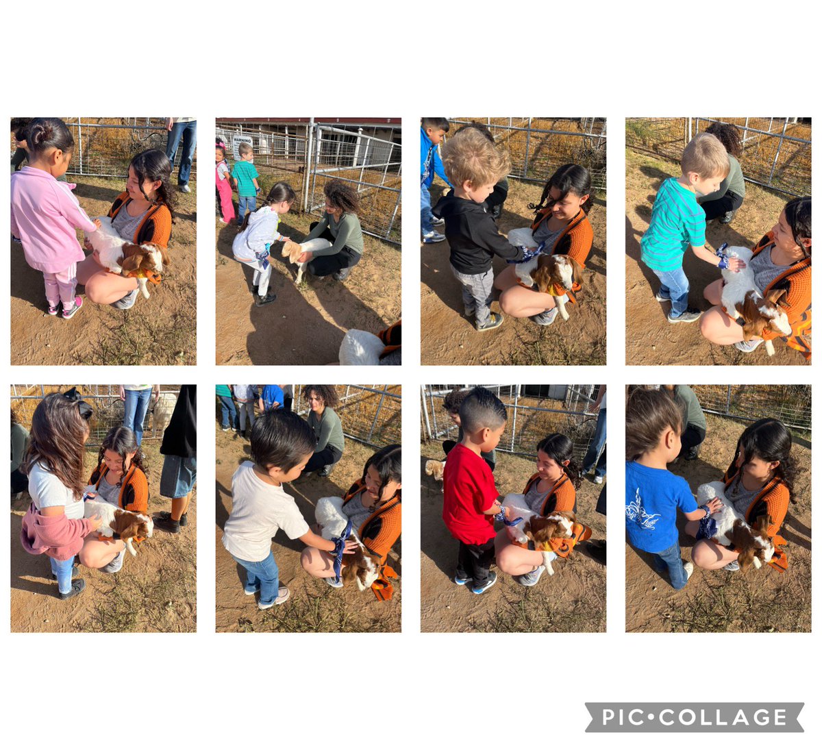 Pt. 2 At the @CTE_ECISD Ag. farm, we gathered eggs🐓🥚 , we met Lincoln the donkey 🫏, planted plants 🌱, and pet baby goats 🐐! What an amazing day of learning and fun for @ZavalaMagnet PreK students! @EctorCountyISD @ECISD_EarlyEd