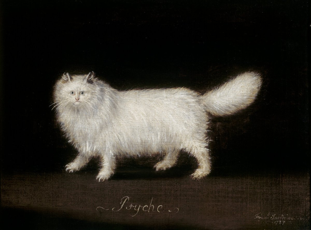 Painter: 'Of course I've seen a Persian cat before, why'd you ask?'