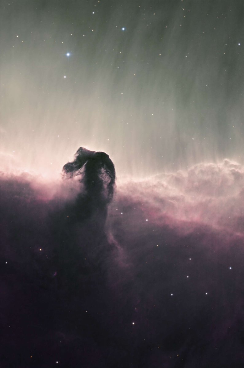 #TLPOD winning image (05/04/2024): Horsehead Nebula by Rouven Asmußen, original data from TelescopeLive.

Click here 👉bit.ly/3q4y9jd and start your 1-week free trial now.

ABOUT THE IMAGE:
🔭  Planewave CDK24 (CHI-1-CMOS)
🔘 SHO
🖥️ Pixinsight and Photoshop