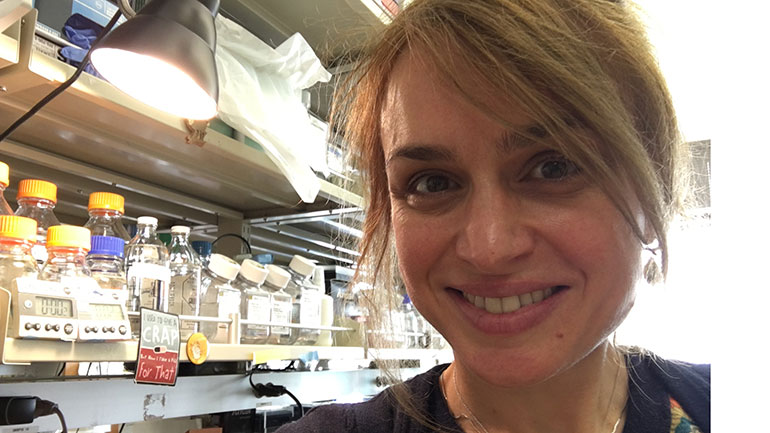 News | A University of Leicester academic is set to receive nearly £125,000 through the Springboard scheme to support her research in female-specific susceptibility to diseases 👉 le.ac.uk/news/2024/apri… #CitizensOfChange | @YolandaMarkaki @acmedsci
