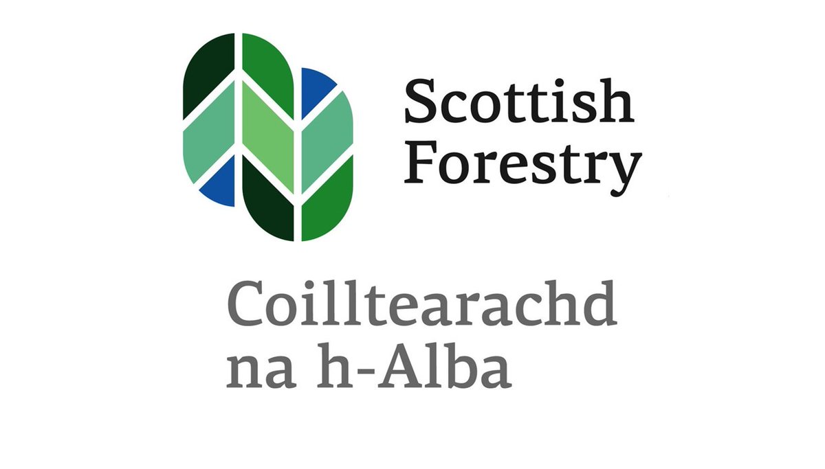 Current vacancies with @scotforestry Administration Support Assistant in #Edinburgh: ow.ly/eR9P50RcRub Case Support Officer in #Selkirk: ow.ly/833t50RcRua #EdinburghJobs #ScottishBordersJobs #AdminJobs #SupportJobs