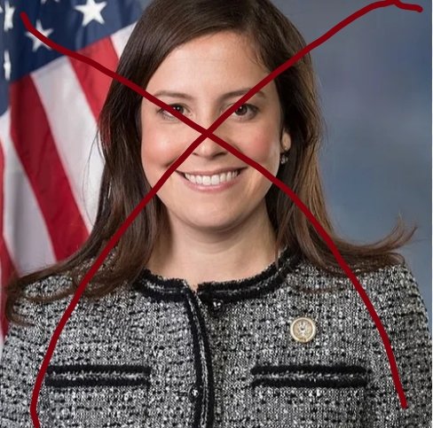 @EliseStefanik Just voted to allow the FBI to spy without a warrant Bye bye Elise!