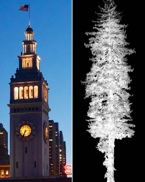#BayArea! You've seen the Ferry Building, but never like this. Don't miss Being/Tree: a life-size 1,500-year-old redwood portrait illuminates SF's iconic @FerryBuilding. Harry Bridges Plaza, 8pm, SATURDAY ONLY! @GiantsRising @IlluminateTheArts @SarahBirdStudio  📷Clay Gilliland