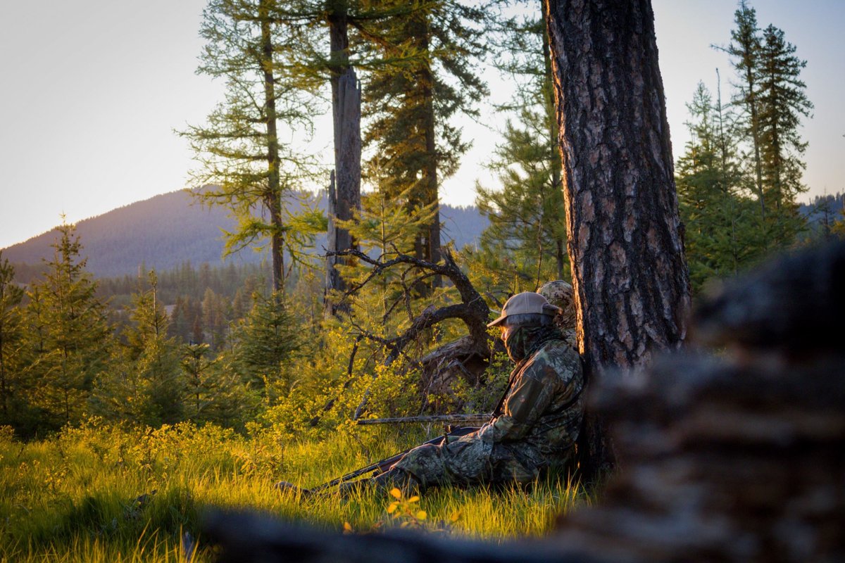 House Passes Historic Bipartisan Outdoor Recreation Package!🏹🎣

Read Here 👉 huntpost.com/blog/house-pas…
-
-
#hunting #NWTF #fishing #outdoorsmen #congress #publicland #outdoorrecreation #exploreact
