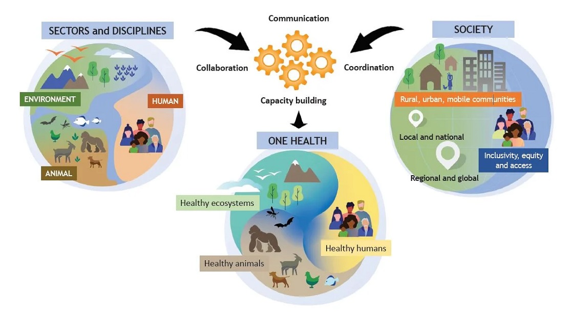 La resistencia antimicrobiana: un problema en aumento que debe abordarse con un enfoque de 'One Health' 👉 ¿Qué hacer ante este grave problema? nos cuestionan desde Medicus Mundi @medicusmundinam  👉La cooperación internacional una de las claves 📌arainfo.org/?p=285602