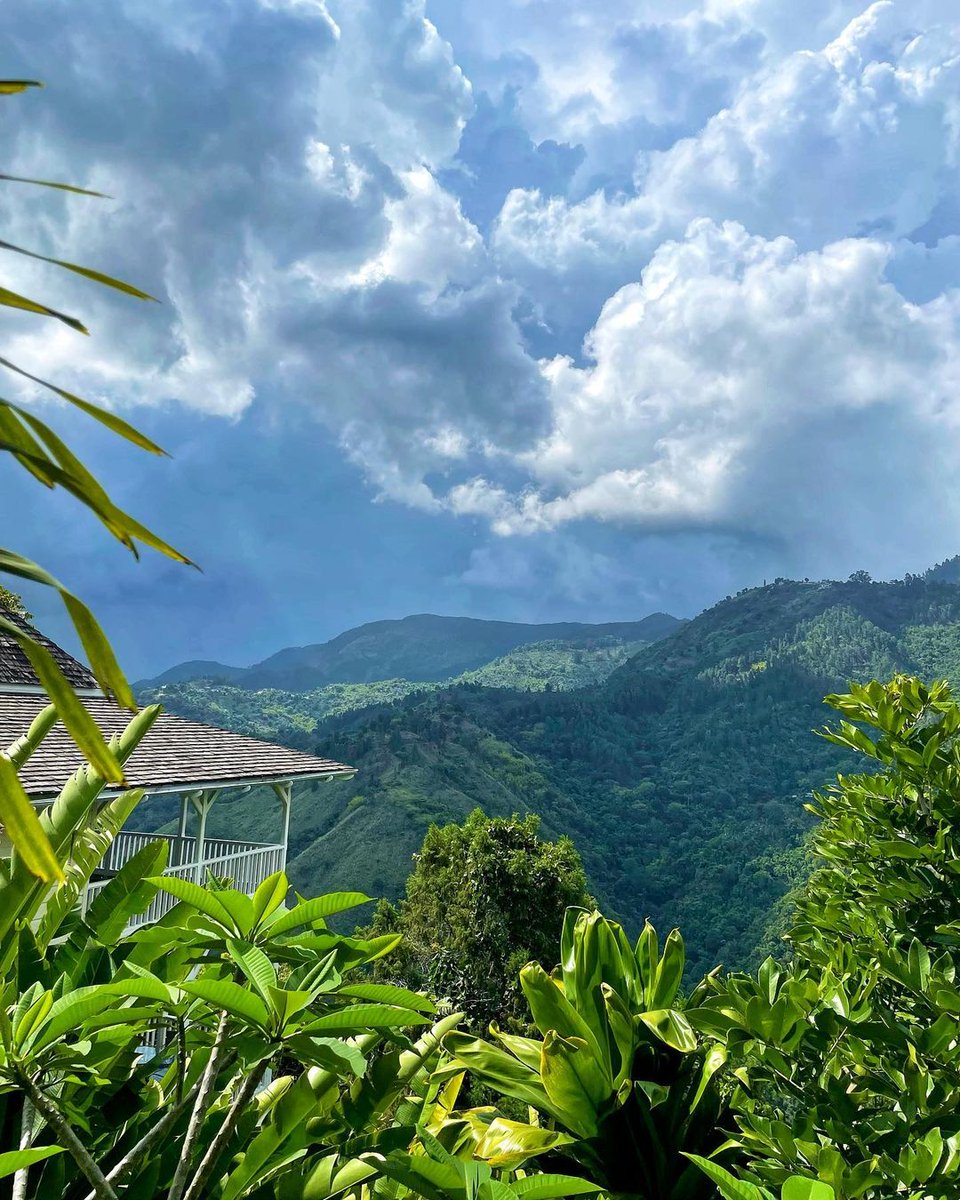 In the heart of Jamaica's soul-stirring Blue Mountain peak, adventure meets tranquility ⛰️🇯🇲 #VisitJamaica 📍@strawberryhillhotel 📸: @just_in_ja