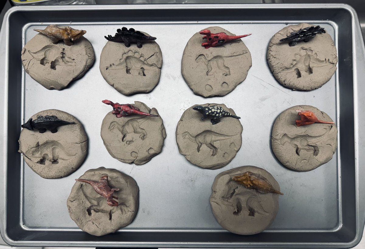 Kristian Fuentes (@kris_fuentes4) on Twitter photo ALE students created their own dinosaur fossils. #DinosaurWeek <a href="/NISDSpecialEd/">NISD Special Ed</a> <a href="/NISDMeadowVill/">Meadow Village ES</a> ALE students created their own dinosaur fossils. #DinosaurWeek <a href="/NISDSpecialEd/">NISD Special Ed</a> <a href="/NISDMeadowVill/">Meadow Village ES</a>