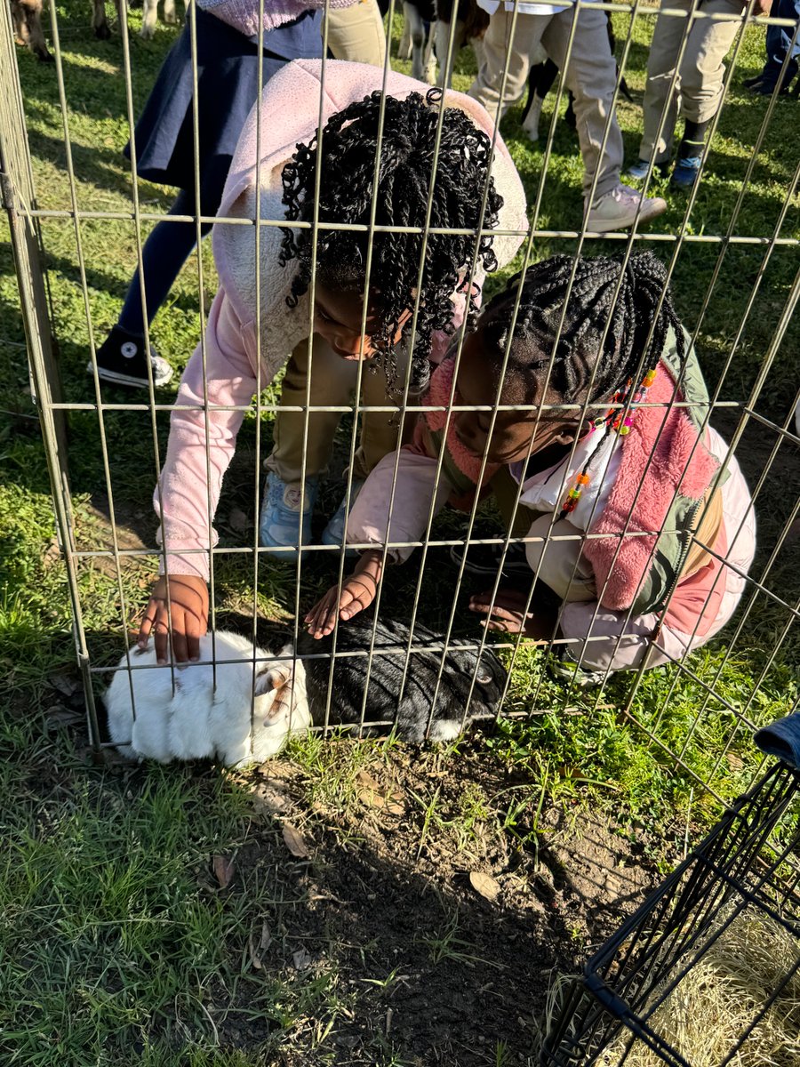 Llamas, goats, chickens, pigs, bunnies and sheep! The petting zoo came to our OC campus for our Pre-K3/4 students to experience their EXPLORE360® adventure day of learning. They enjoyed petting and holding creatures big and small.  #WeGotThisFFA #StudentsFirstatFFA #publicschools