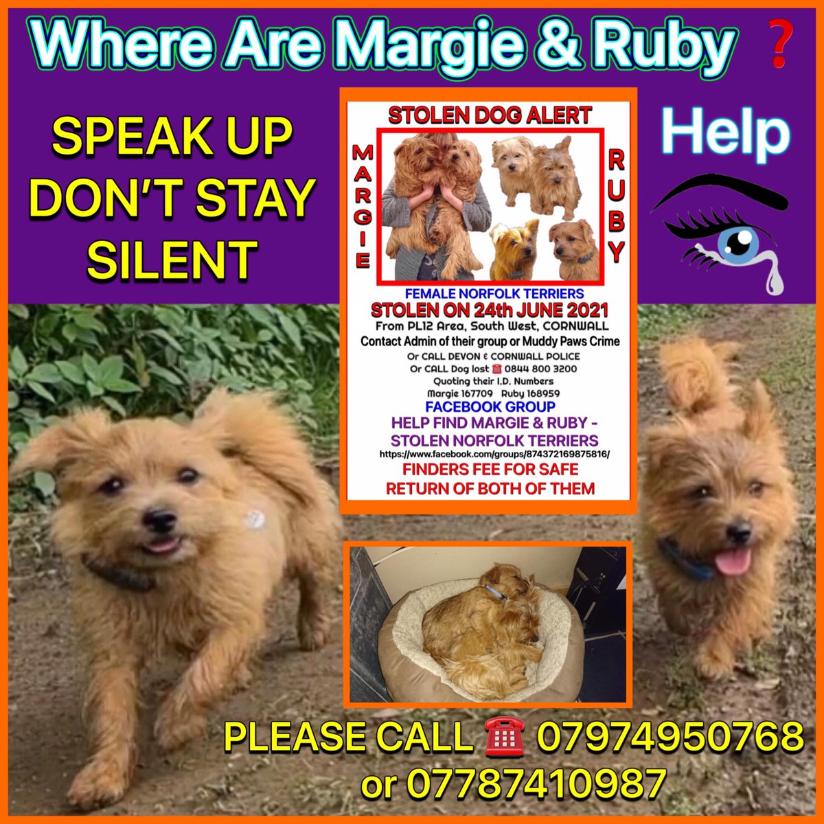 Worst thing EVER is the NOT knowing the whereabouts & health status of your missing family members! Put yourself in the shoes of these two girls' REAL parents & PLEASE come forward if you're harbouring them! Plenty of sad dogs in kennels awaiting adoption! Please @FindMargieruby