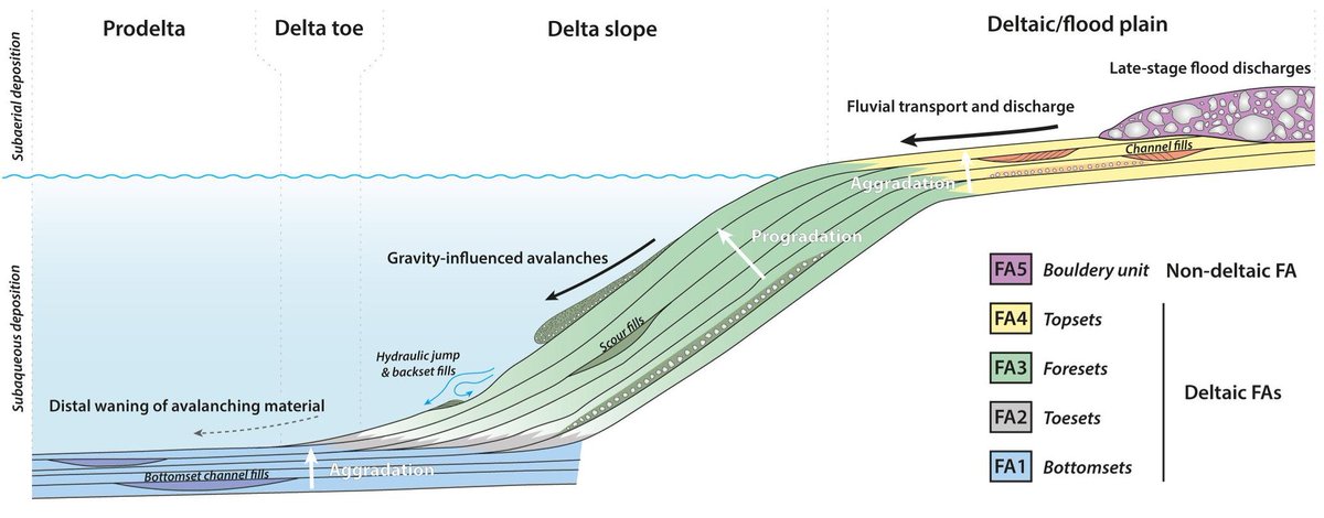 This week we have a depositional model of Kodiak butte, an erosional remnant of an ancient delta in Jezero Crater, Mars observed from a distance by the Perseverance rover. Here we see a sequence of sedimentary facies typical of a ‘Gilbert-type’ (fluvial dominated) delta. (1/2)