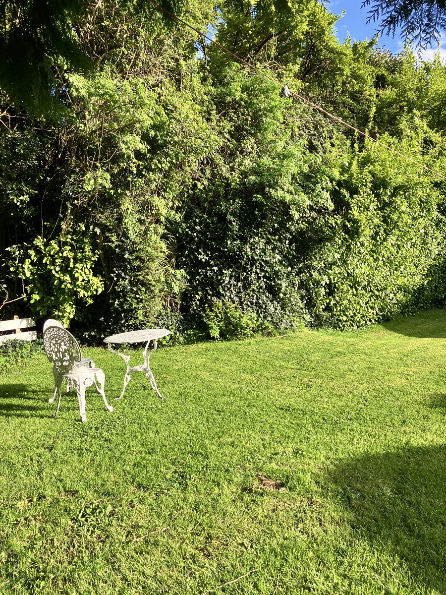 So pleasant to sit in the sunshine this evening in #Bray with birds singing and Holly blue butterflies out. Hope it’s sunny where you are 🌞and land is drying.