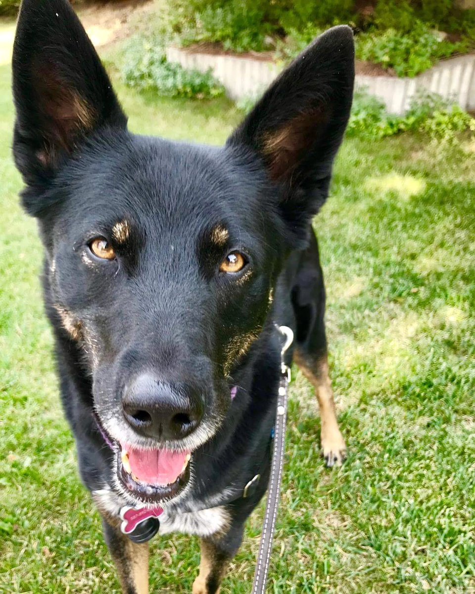 Paul Cowling (he/him) tweet media