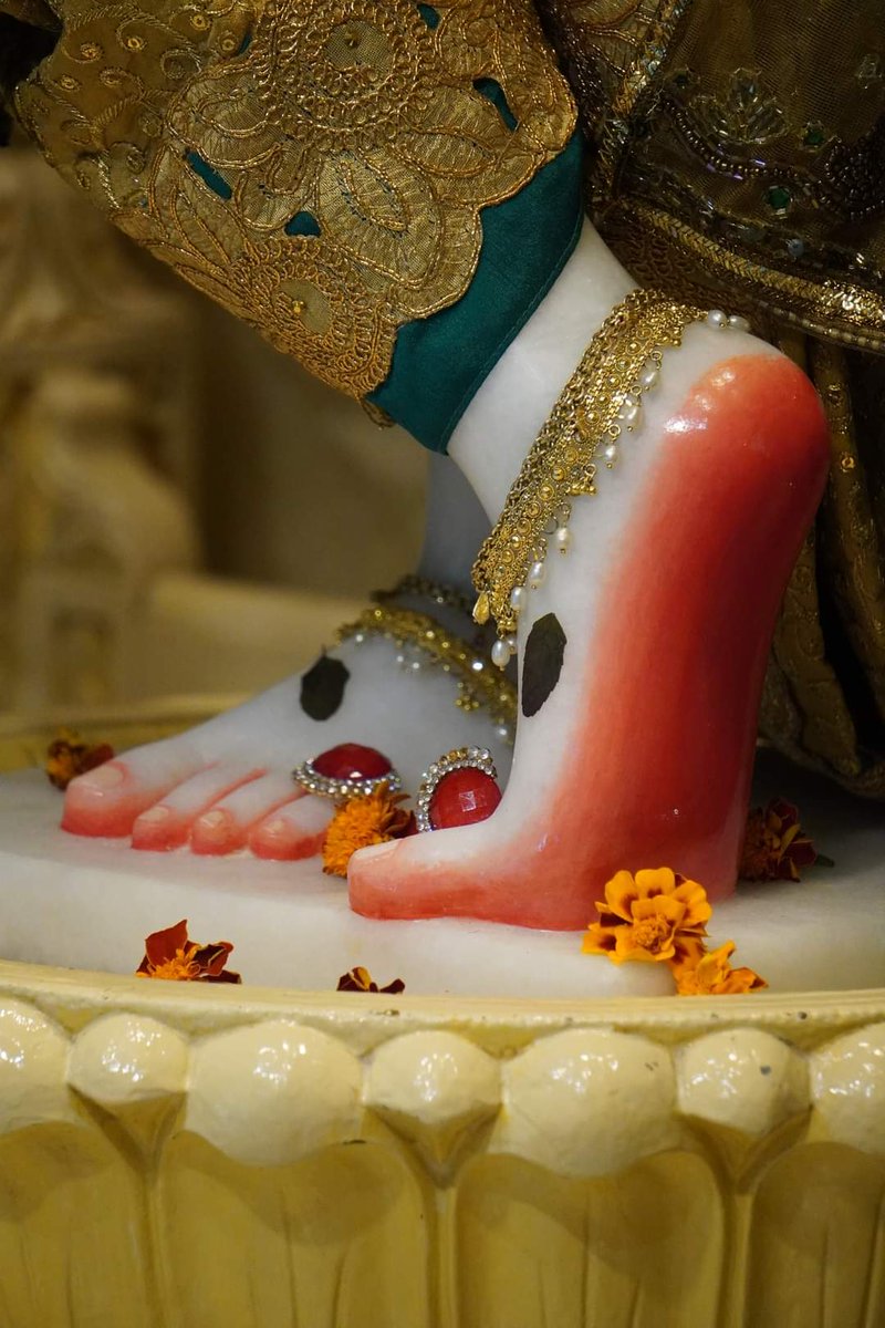 Beautiful Lotus Feet Darshan ❤🙏