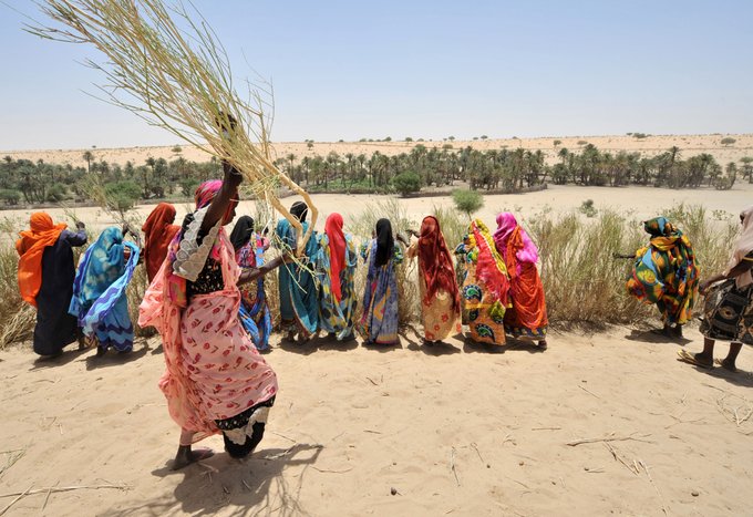 📰 #OpEd by @FAO: 

Without concrete measures to help small-scale farmers tackle #climatechange challenges, hunger cannot be eradicated. 

Urgent investment in #SocialProtection for inclusive #climateaction is crucial.

Read more 👉 bit.ly/3VLxdme via @FAOclimate