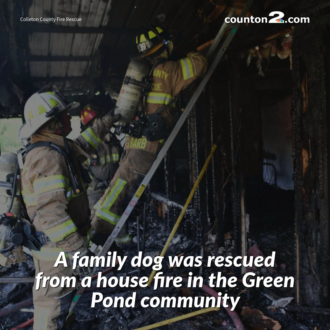 Fire officials say neighbors attempted to rescue a dog that was trapped inside a burning Hickory Hill Road home. UPDATE ON THE DOG ➡ trib.al/wdRHEJI