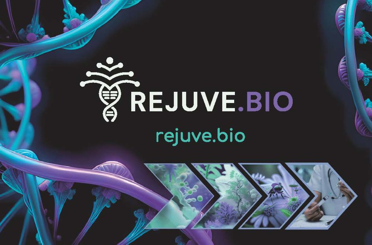🚀 Join #RejuveBiotech as a Senior UX Designer! Revolutionize #biotech with your design skills & biomedical research experience. 🧬💻 Remote, competitive pay, impactful work. Apply now! 🌟📧 More info drive.google.com/file/d/1gT7Mk8…