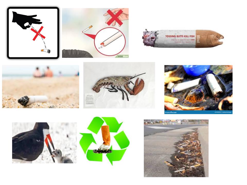 Some images that help inspired our project