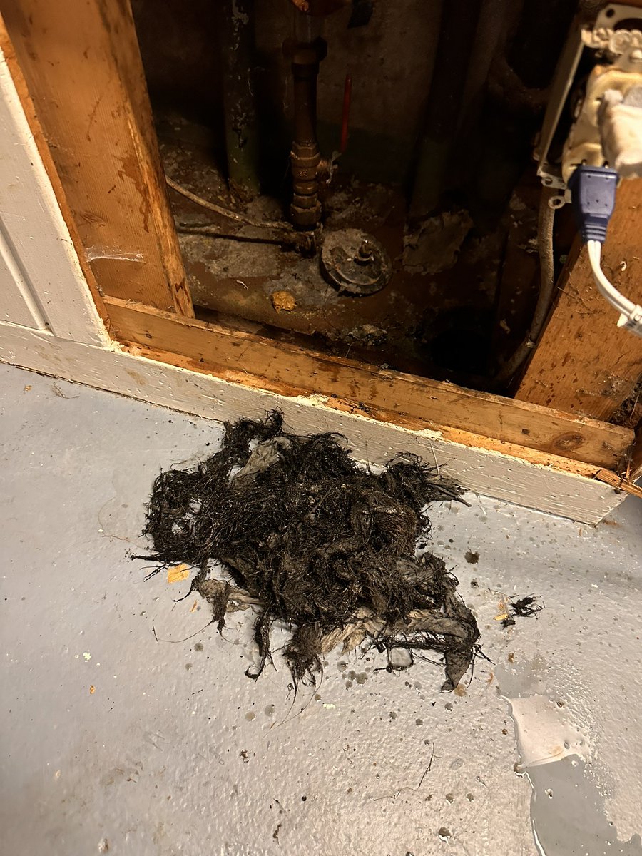 Did you know that we do drain cleaning and main sewer camera inspections? We snake main sewers and individual fixtures! Here’s a couple pictures from a main that Reilly recently snaked out. Yup! Those are worms! 

#duluthmn #duluthminnesota #duluthm #duluth #duluthminnesota