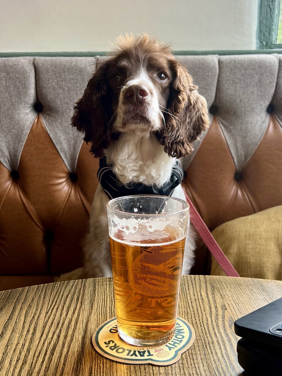 Friday night pint - very nice. 🍺🍺🍻