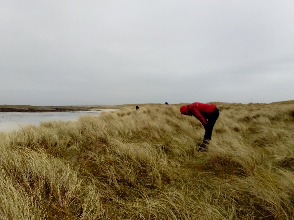 Tiree Ranger Hayley tweet media