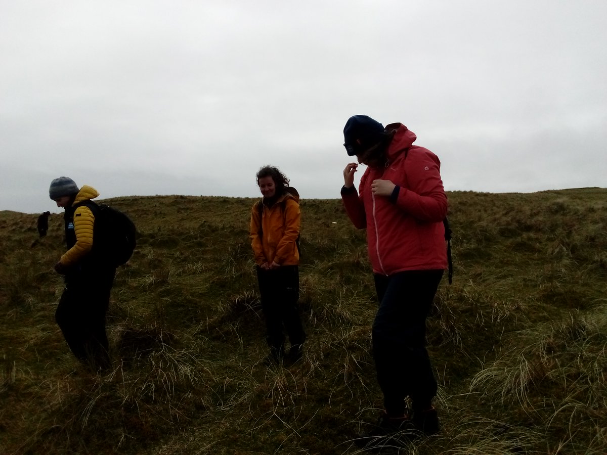 Tiree Ranger Hayley tweet media