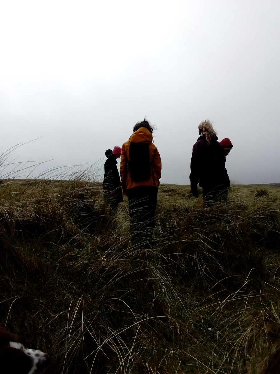 Tiree Ranger Hayley tweet media