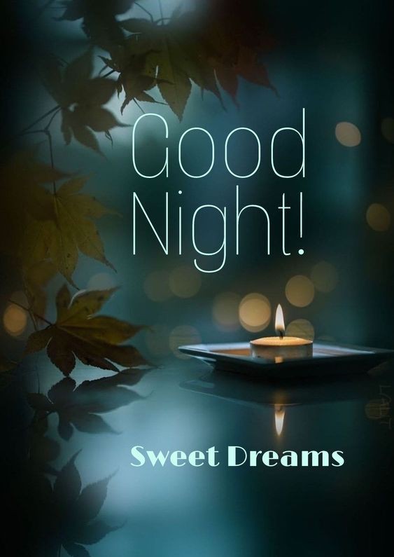 #GoldenBachelor 
Gd Night every one