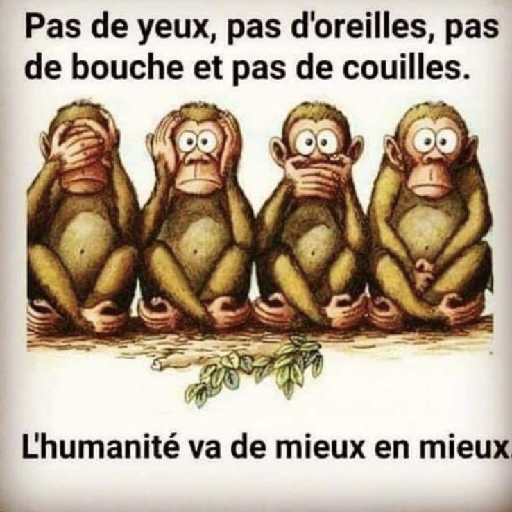 @zoesagan @T_Ardisson @Elysee @JosianeLepine J’adore cette photo qui m’évoque l’adage des 4 singes :