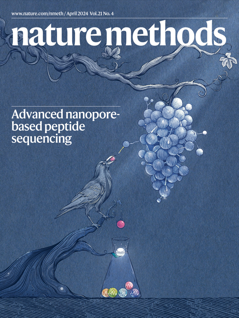 Some weekend reading: our April issue is now live! This beautiful cover artwork is courtesy of Li Zhao, Sichuan University. Paper here: nature.com/articles/s4159… April issue here: nature.com/nmeth/volumes/…