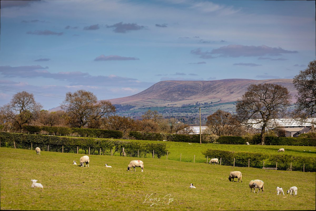 'Pendle Hill'
Viewed from Nr Mitton, Ribble Valley.
#ilovephotography #photographer #colourphotography #photography #photograph #colourphoto #colourphotography #ilovecolour #verotography #nature #outdoors #behindthelens #hiking #rawphotography #verotography #raw #mountains