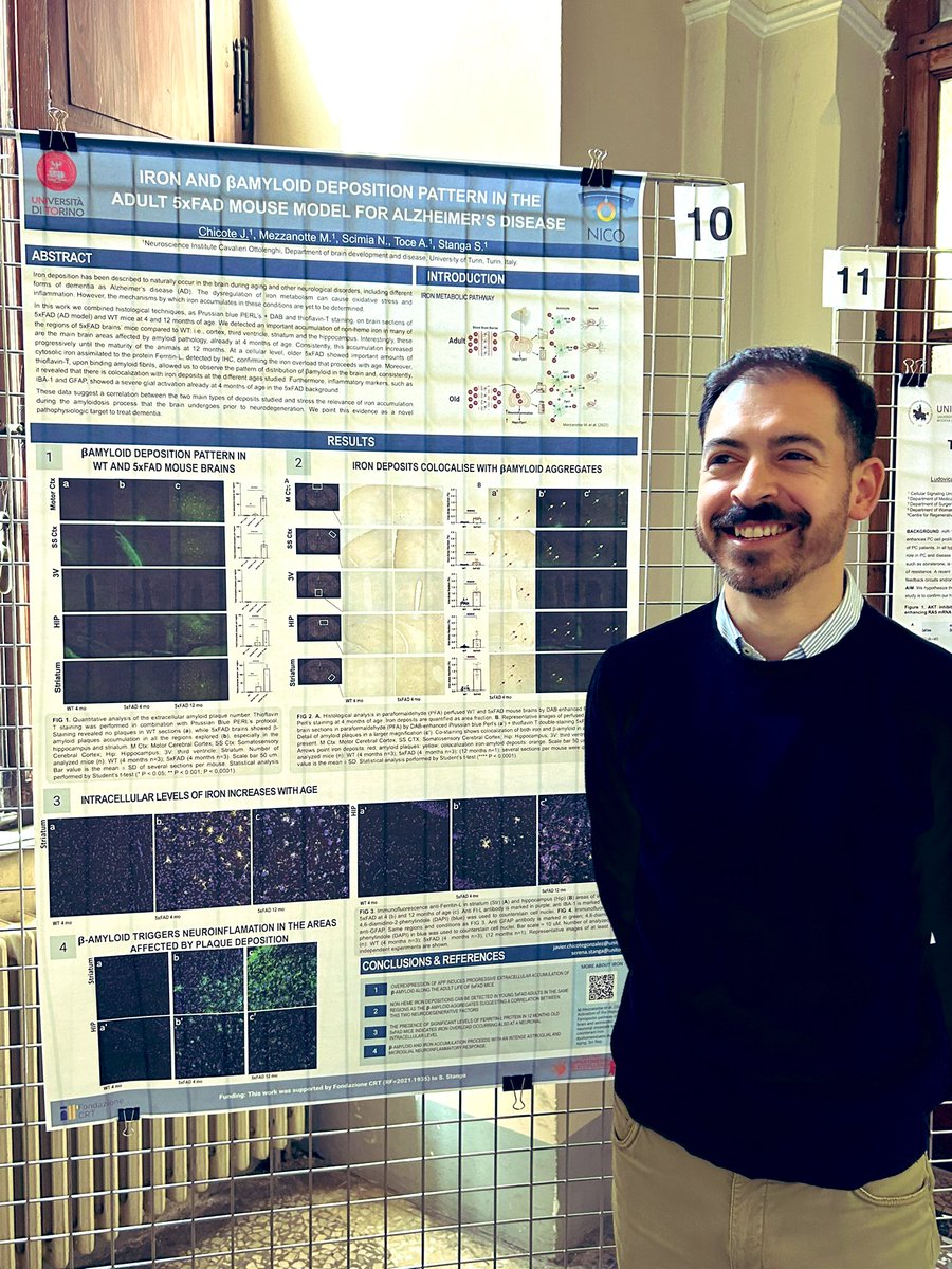 Poster session 1. Mariarosa Mezzanotte and Javier Chicote presenting our studies about amyloid and brain iron spread in early and late Alzheimer’s disease 👩🏻‍🔬👨🏻‍🔬 #MorFuture in Torino @newronico @unito 👏🏻🧠