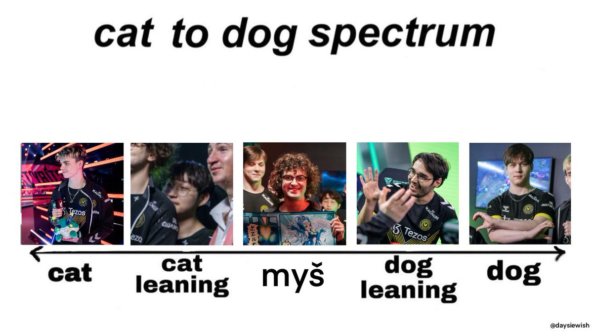 What side of the 🐱🐁🐶 spectrum are you? 🤔

#LEC 
#VforVictory