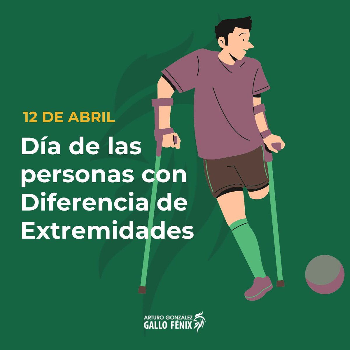 La inclusión es fundamental para tener una sociedad que avance con justicia e igualdad.

Podemos reducir las barreras sociales y de infraestructura que impiden a miles integrarse de manera plena a las actividades cotidianas.

#DiaNacionalDeLasPersonasConDiferenciaDeExtremidades