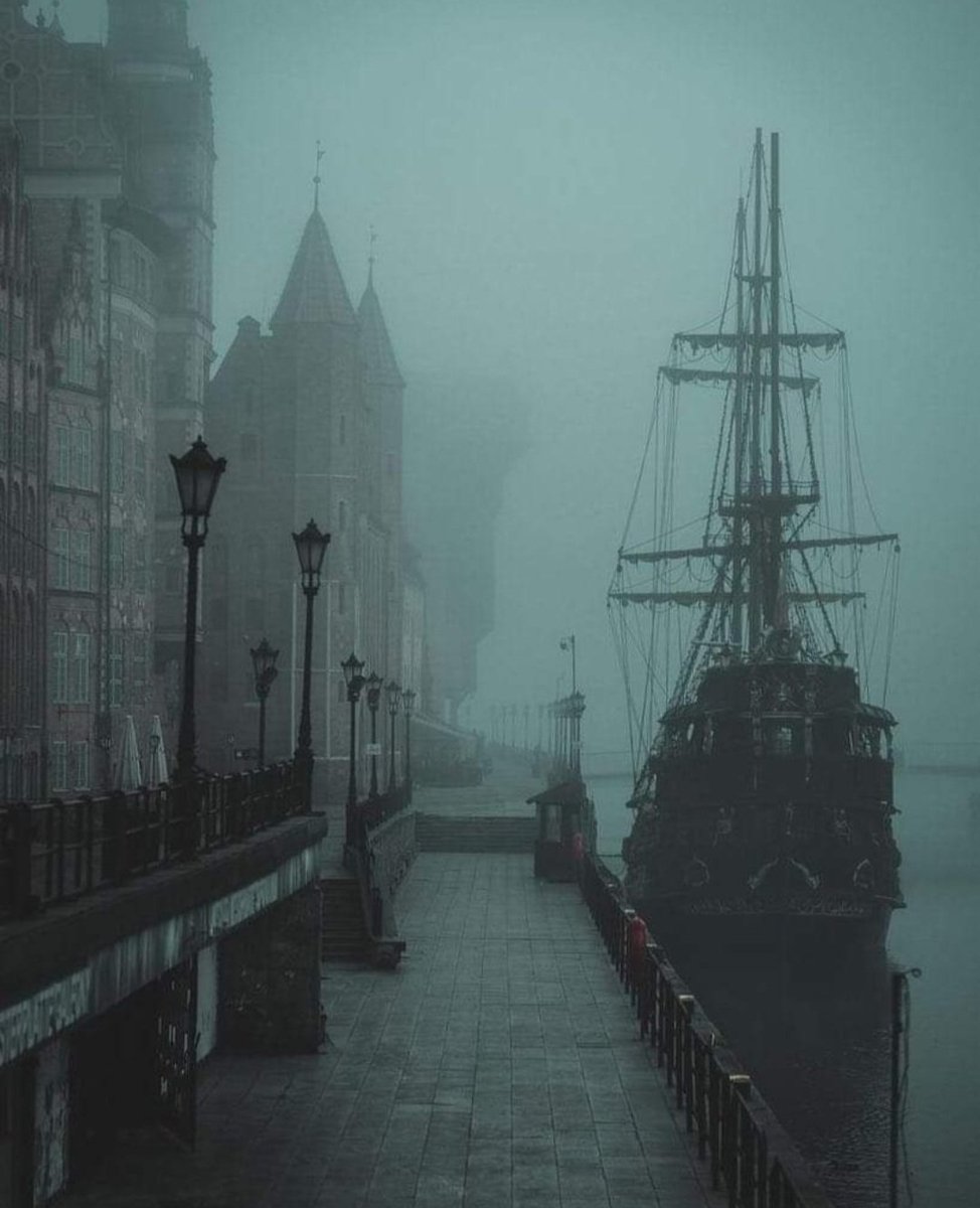 Morning fog in Gdansk. Poland 🇵🇱 I love this pic 👇