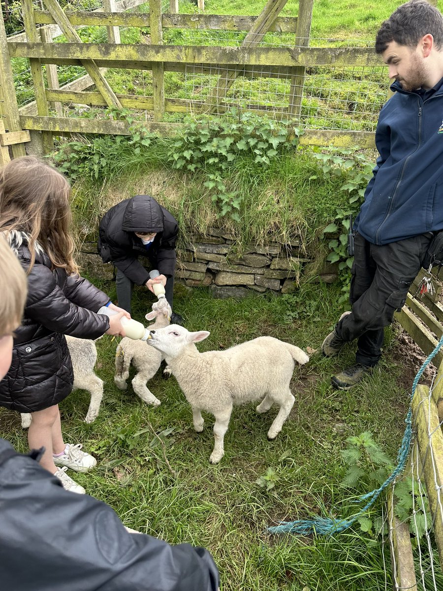 Dosbarth Derw (@missgmg) on Twitter photo A huge thank you to <a href="/greenfieldvally/">Greenfield Valley</a> for a fantastic day! The children enjoyed exploring and comparing the past to the present. An added treat was getting to feed the lambs! A huge thank you to <a href="/greenfieldvally/">Greenfield Valley</a> for a fantastic day! The children enjoyed exploring and comparing the past to the present. An added treat was getting to feed the lambs!