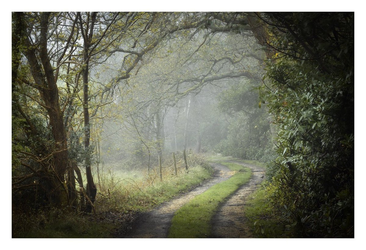 A wee bit of murk descended on the Forest late in the day yesterday, so I had a nice moody mooch around the backroads of Burley before nightfall. Have a great weekend everyone. #NewForest