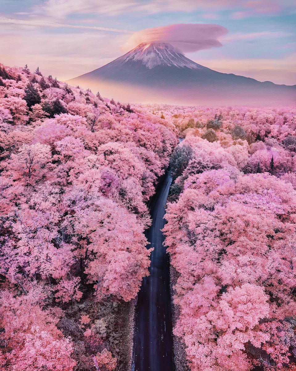 10. Mount Fuji