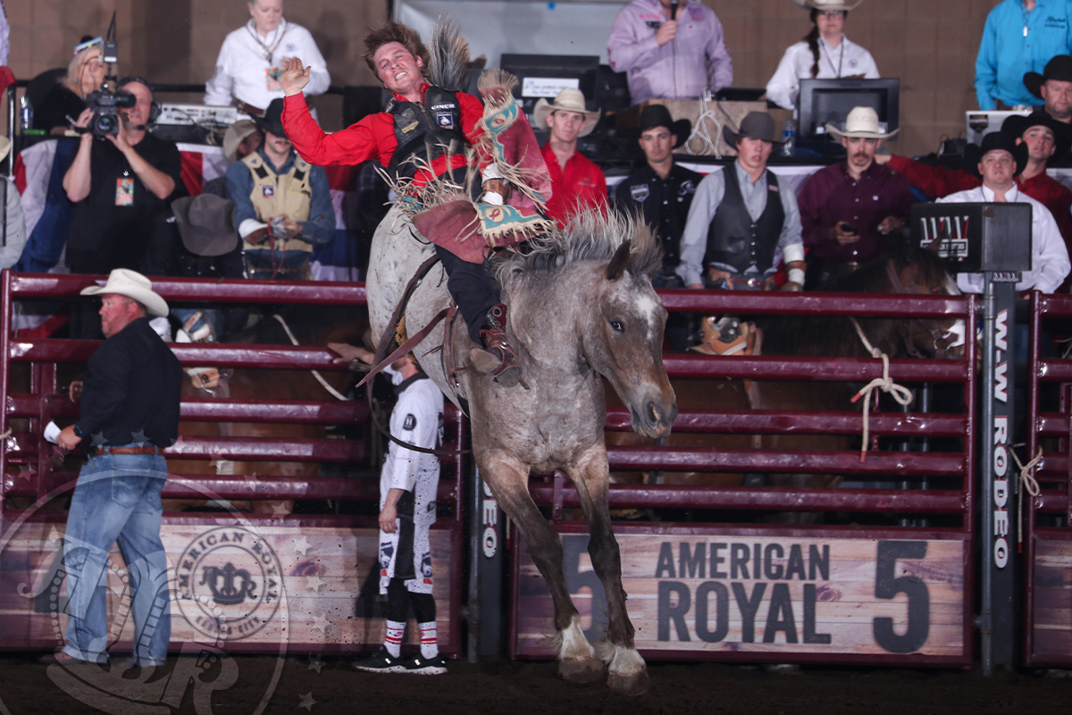 We're counting down the days until the 75th American Royal Rodeo, presented by Reed Automotive Group! We hope to see you May 2-4! Gates open to the Tailgate at 5, doors open to Hale Arena at 6, and the rodeo action starts at 7. Get your tickets at bit.ly/24ARProRodeo!