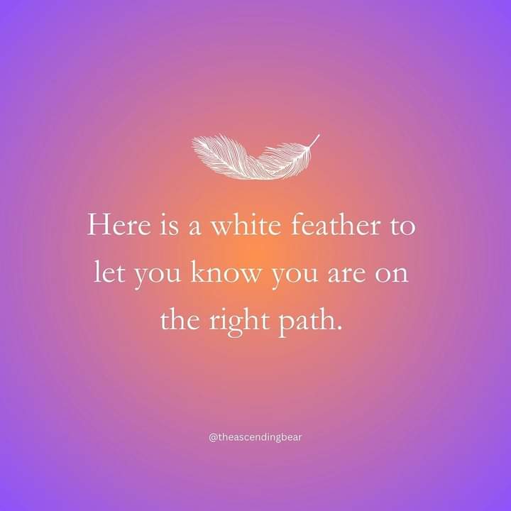 If you are looking for a sign, this is it! You are on the right path. Keep walking my friend!✨️