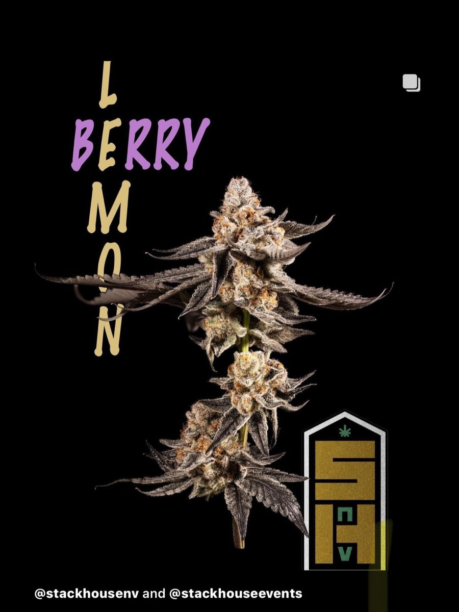 If you Come to #LasVegas Ask for my Cannabis recommendations I’ll take you to the right place! Lemon Berry 🍋 🌿🔥 By: @StackHousenv Premium Indoor craft Cannabis 👇🏻