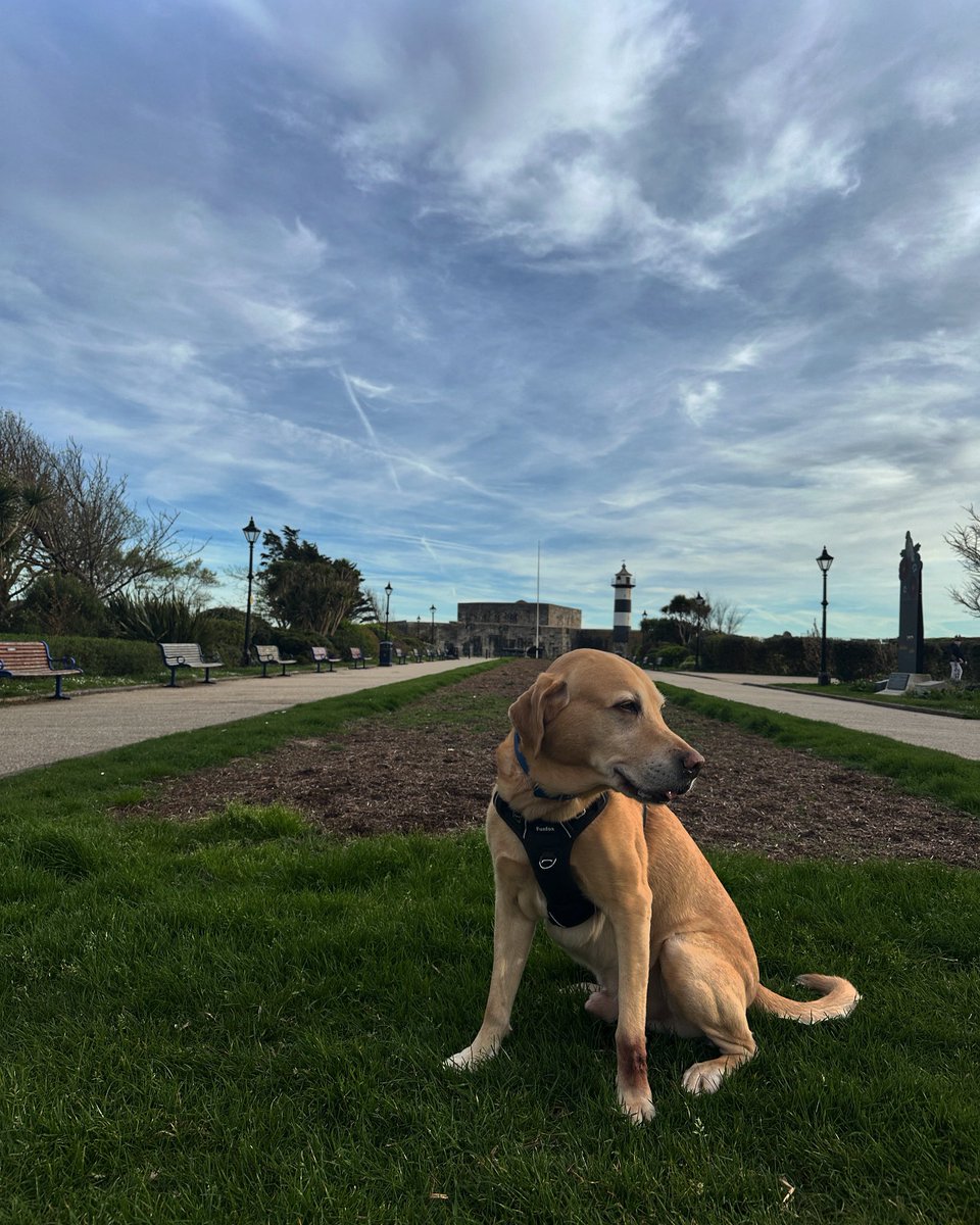 Beautiful skies tonight. Friday, and my eyes are dog tired.